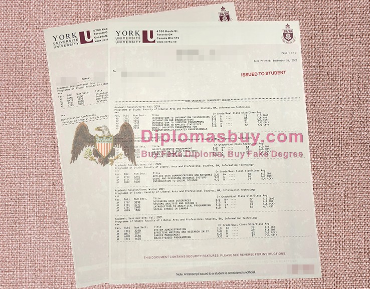 University of York Transcript, University of York Degree University of York Transcript, University of York Degree