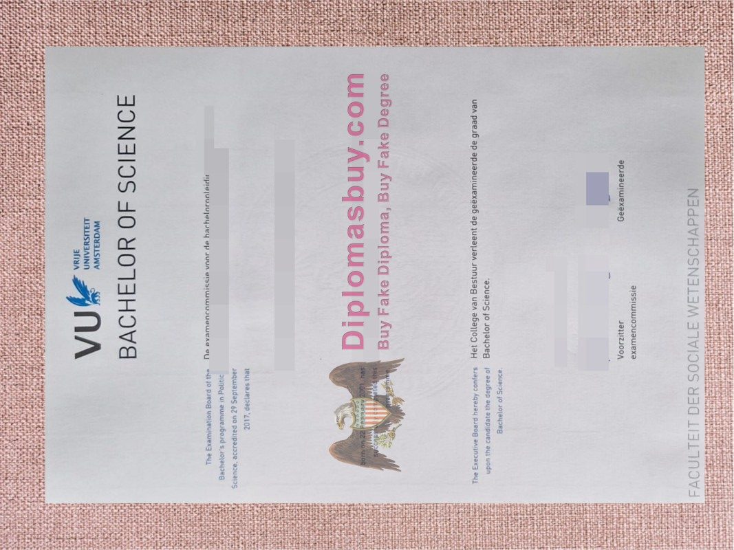 Vrije Universiteit Amsterdam Diploma, Vrije Universiteit Amsterdam Degree