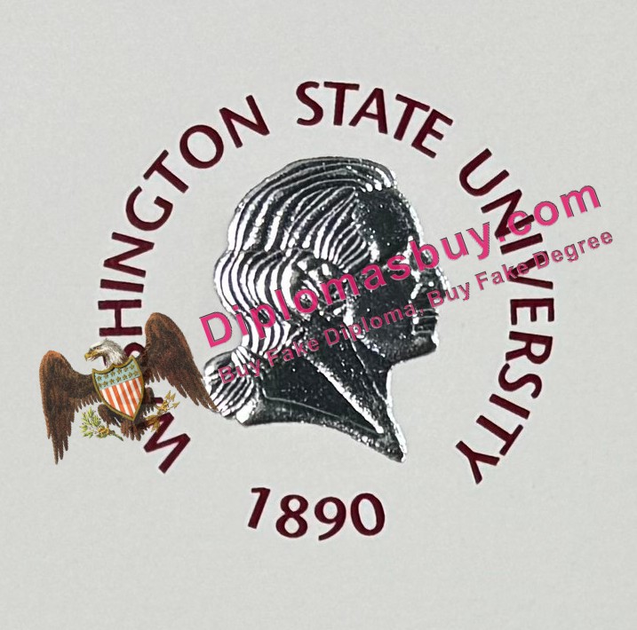 ashington State University Diploma