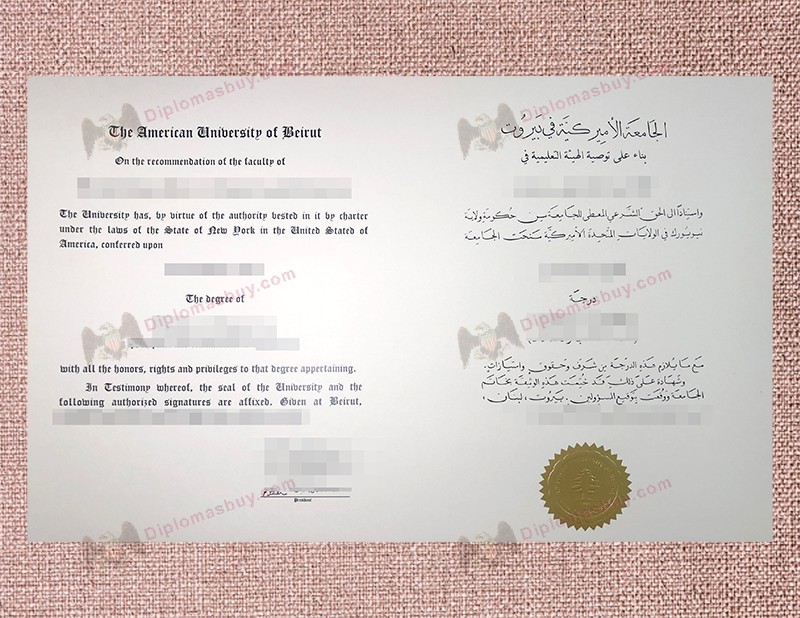 American University of Beirut diploma, American University of Beirut degree