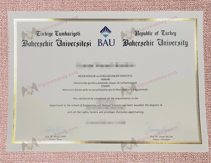 BAU Diploma, Bahçeşehir Üniversitesi Degree