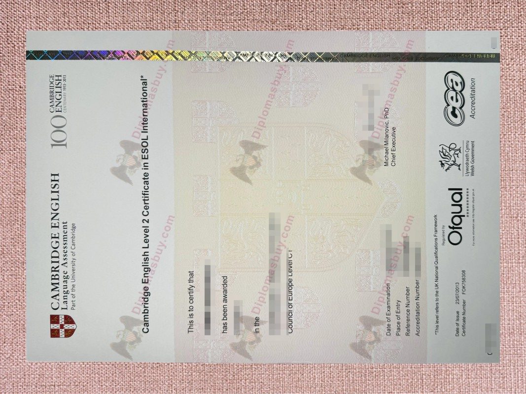 Cambridge Assessment English Certificate, Cambridge Assessment English Degree