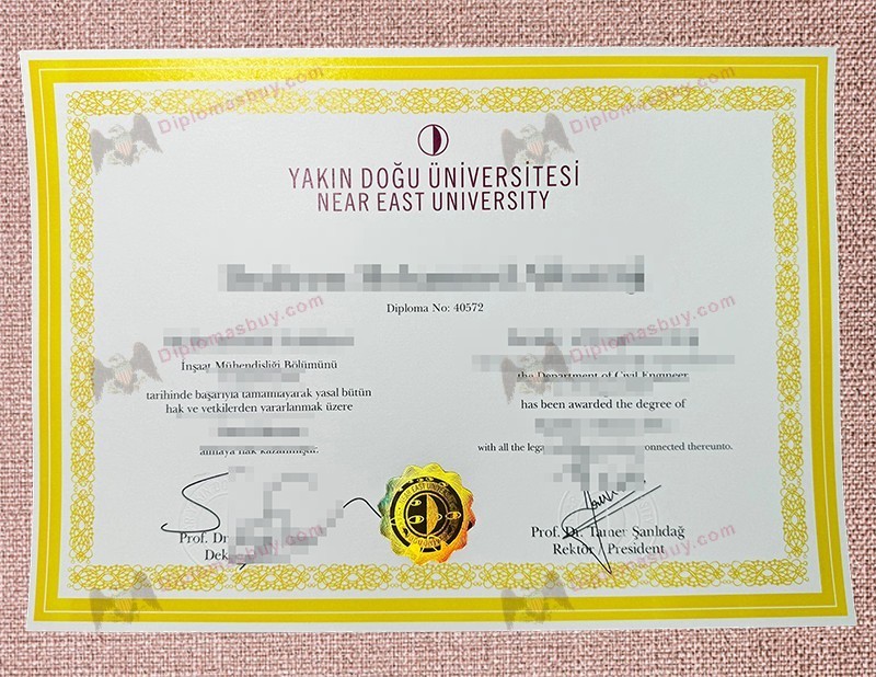 Near East University diploma, Near East University degree