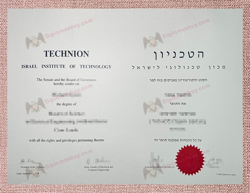 Technion – Israel Institute of Technology diploma, Technion – Israel Institute of Technology degree